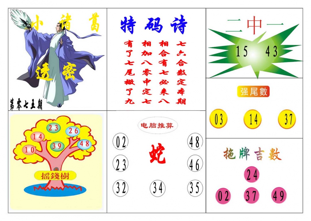 075期小诸葛[图]
